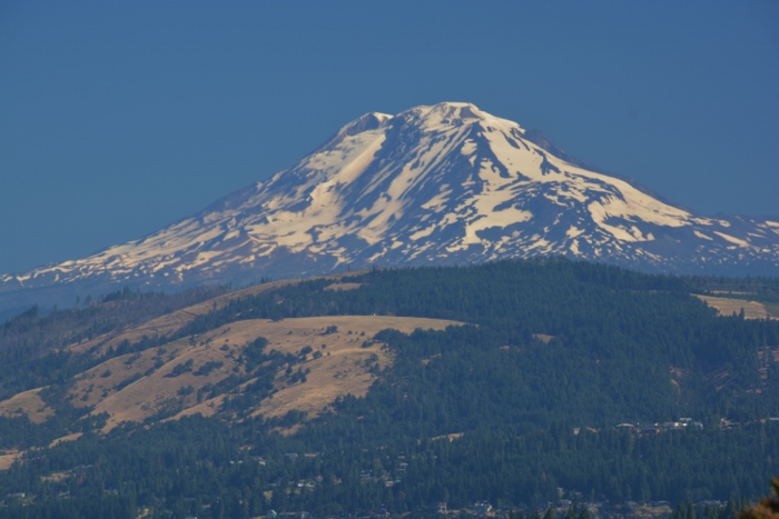 Mt. Adams 